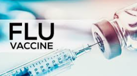 Image of Flu Vaccine