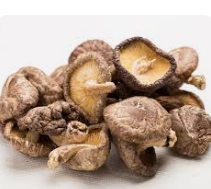 Image of a Shiitake Mushroom